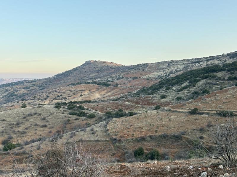 GAZİANTEP NİZİP'DE 53.004 M2 SATILIK FISTIK BAHÇESİ